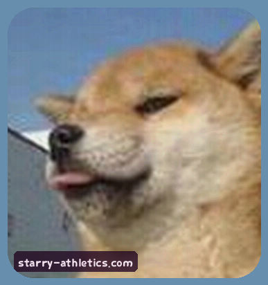 张总